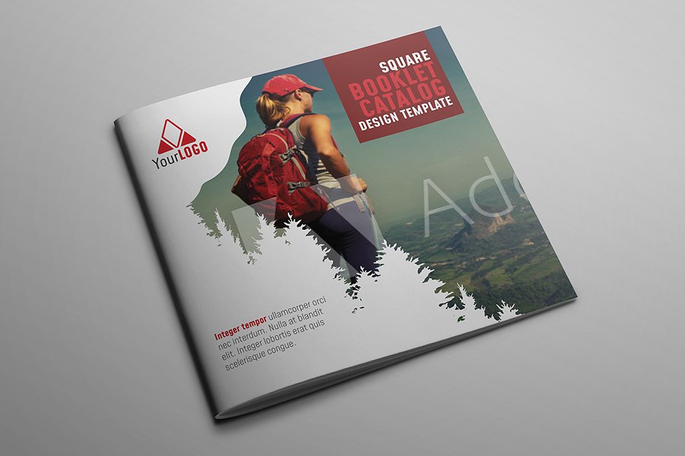 Katalog